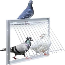 11.8In/30Cm Pigeon Cage Door One Way Entrance Door Bird T Trap Birdcage Iron....
