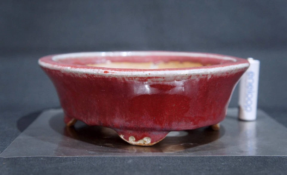 Olla Bonsai Kouyou Tokoname 6.9" Rojo Cinabrio Esmaltado Rectangular Sin Usar Japón Foto 3 de 4