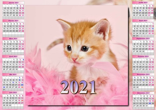 Calendrier 22 Chat Affiche Plastifiee 30 X 40 Cm Ref 157 Ebay