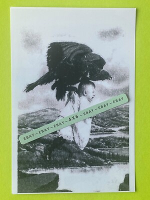 Found 4X6 Odd Strange Old Photo of a Very Large Big Bird Stealing a Little Baby