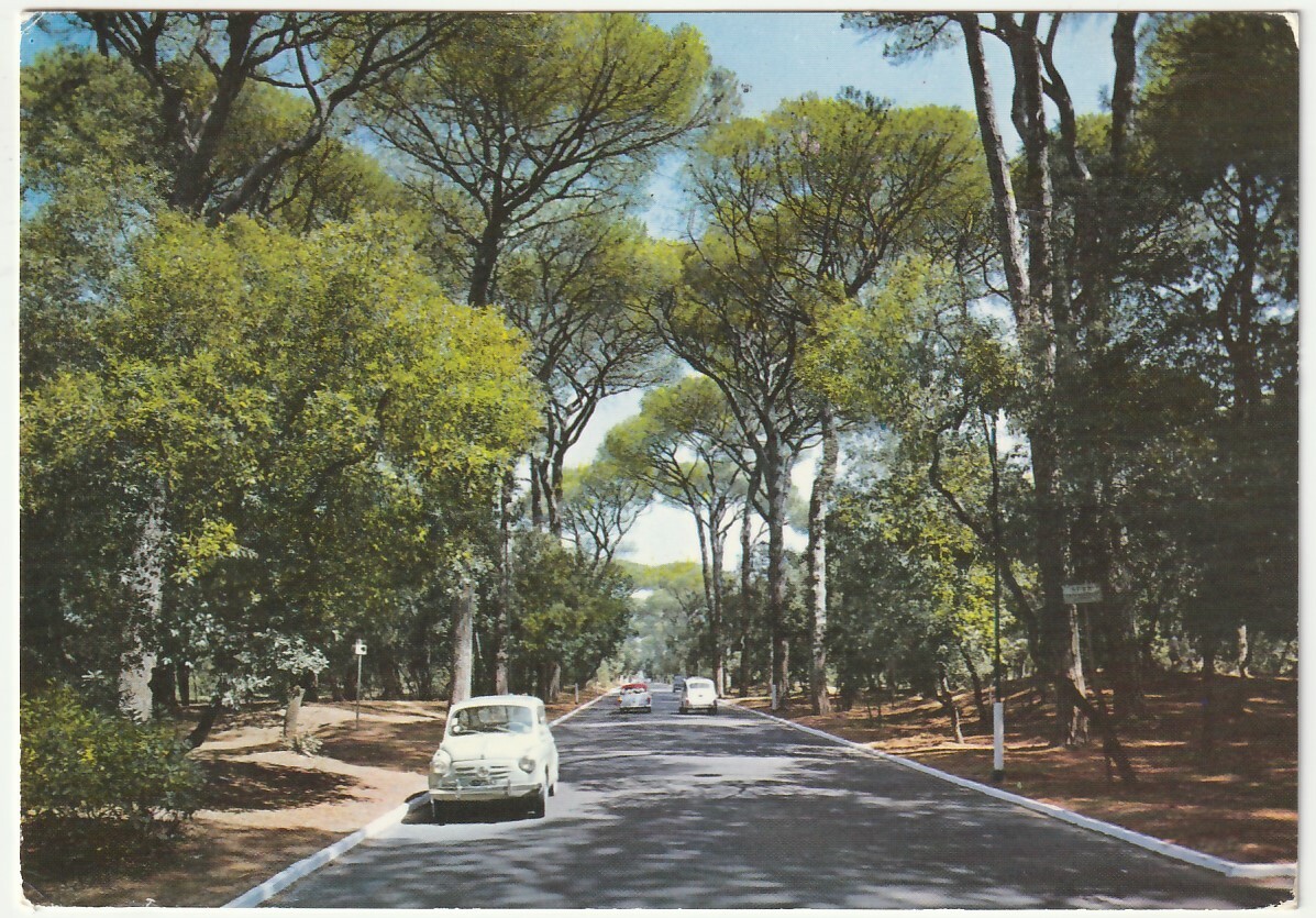 LIDO DI ROMA - PINETA DI CASTELFUSANO - VIAGG. 1966 -49441-