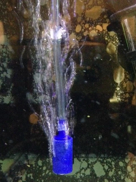 50X AQUARIUM CLEAR AIR LINE SUCTION CUPS STANDARD SIZE TUBING