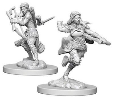 Dungeons & Dragon D&D Nolzur's Marvelous Miniatures: Female Air Genasi Rogue