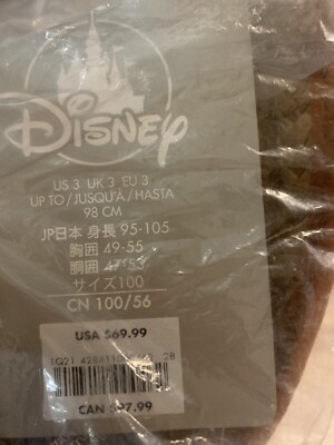 Authentic Disney Raya Costume Kids   Disney Raya and the Last Dragon SZ:3 $69.99