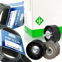 Meyle 4PK905 7PK1325 Keilrippenriemen-Satz + Spanner FüR Daily