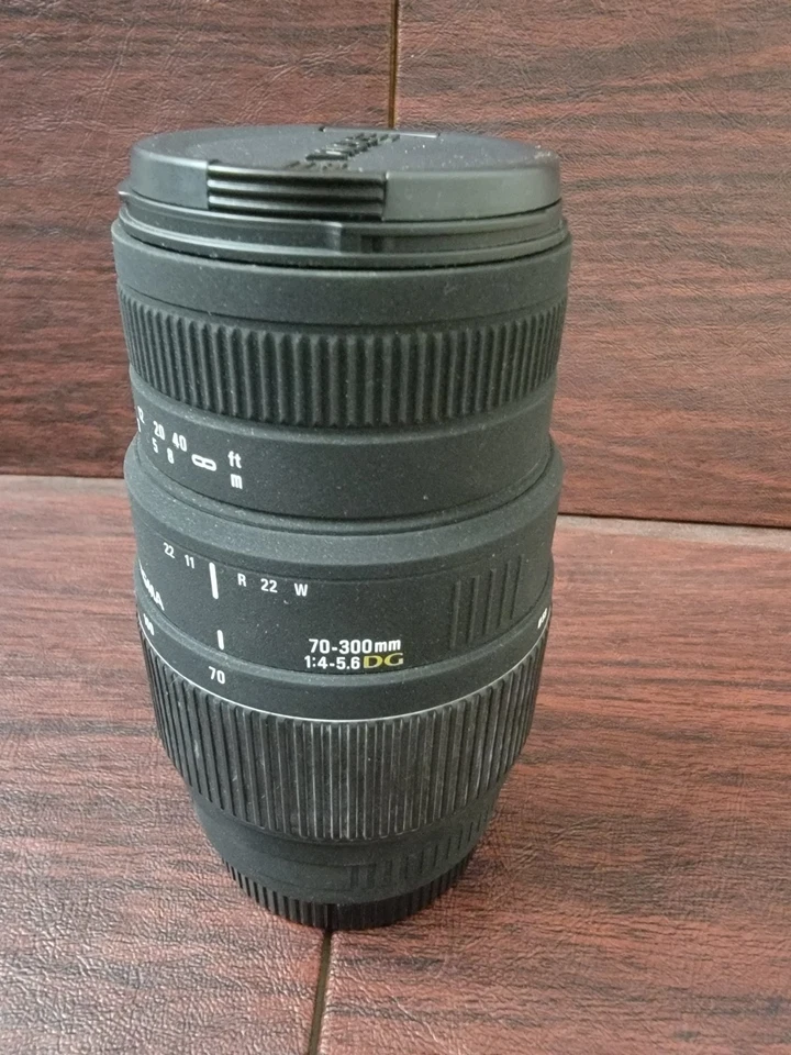 Lente zoom teleobjetivo macro Sigma 70-300 mm f/4-5,6 DG para Canon Foto 2 de 4