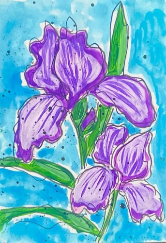 ACEO OOAK Purple Bearded Iris, Hand Painted Original, Karen P cannon 