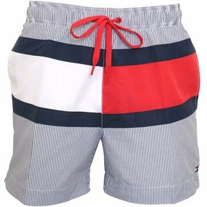mens tommy hilfiger shorts