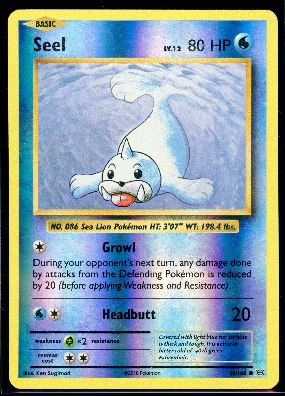 POKEMON TCG CARD Seel 28/108 XY Evolutions 2016 Reverse Holo Foil NM