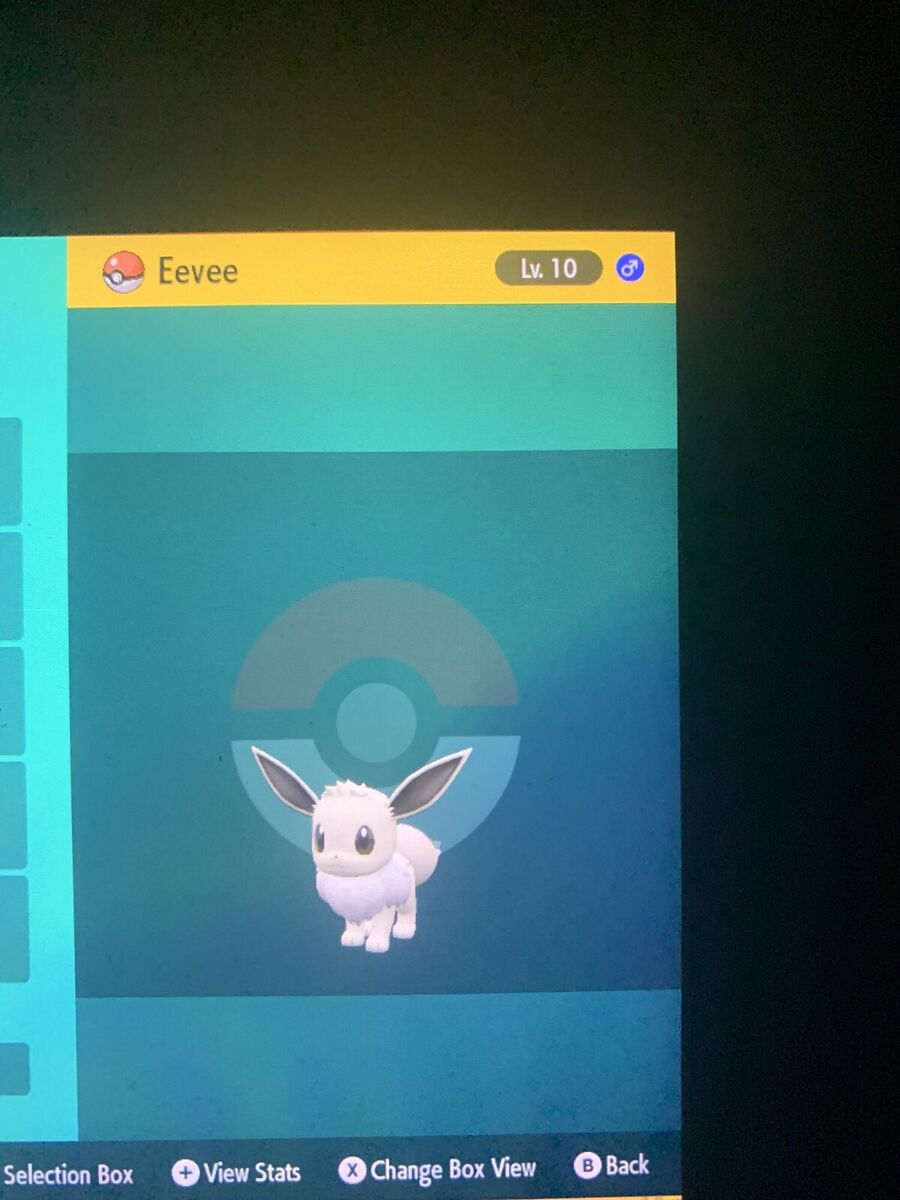 Pokemon Scarlet & Violet, Shiny Eevee, 11 Eggs