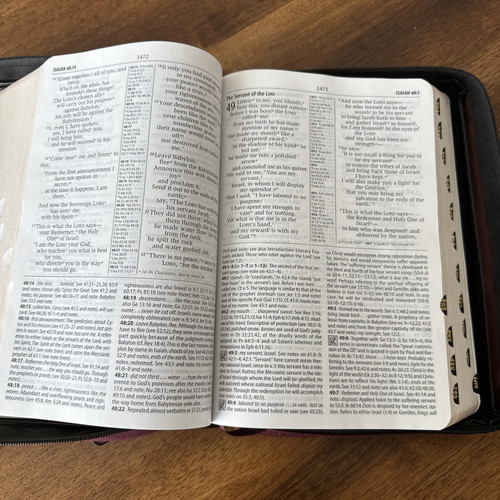 NIV Study Bible Red Letter Tabs Leather Zondervan 2000’s W/cloth Case - Foto 9 di 15