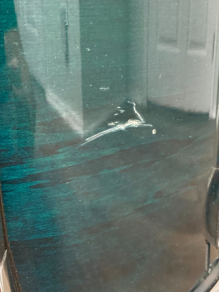 Pearl Export ELX 16x16 Floor Tom Drum late 1990's Teal Mist eBay