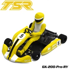 Team Saxo GK-200-PRO 1/8 RC Go Kart KIT ARTR Yellow Brushless Race Car Lipo