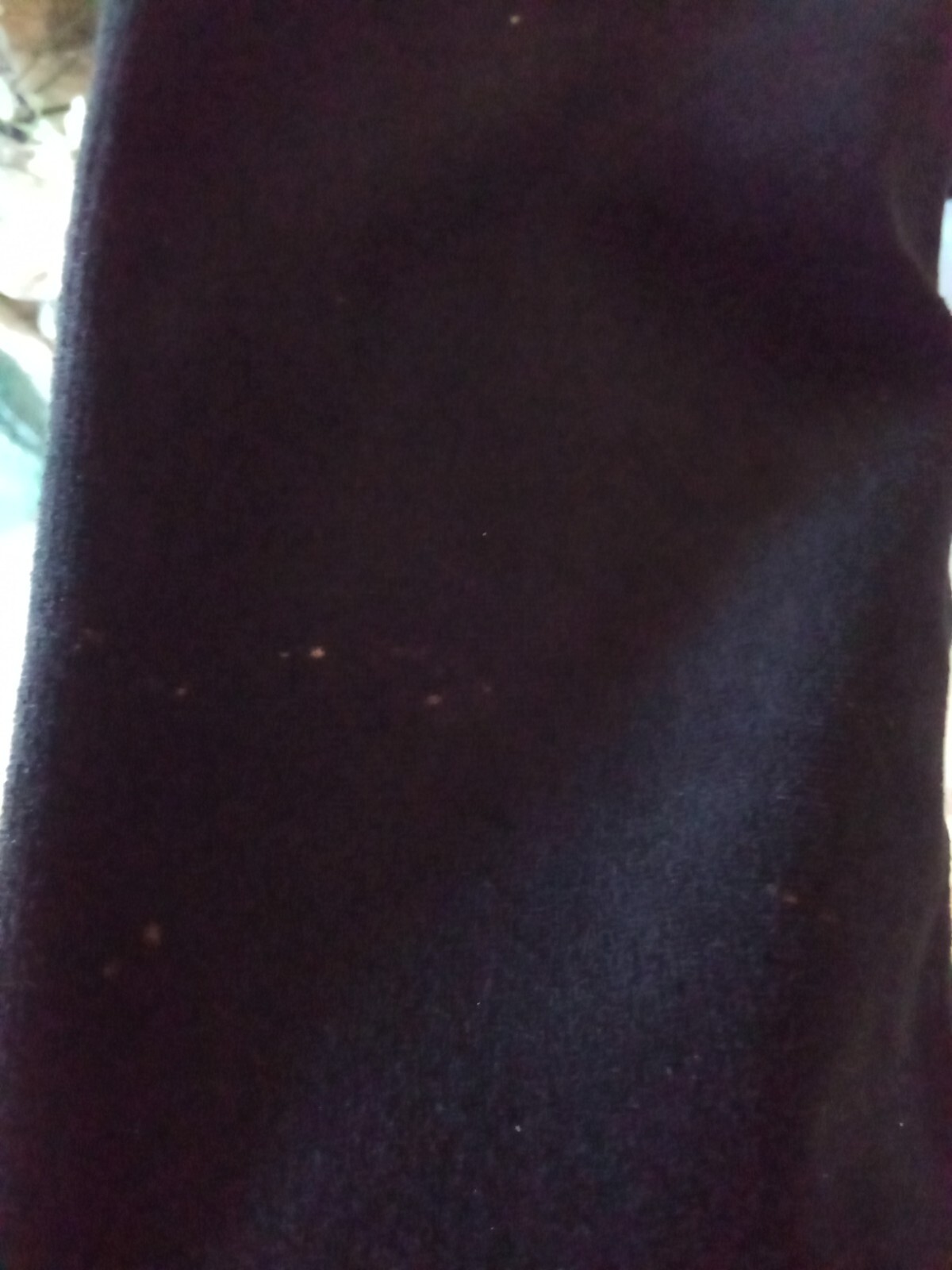 Picture 6 of 12