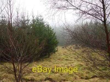 Photo 6x4 A damp firebreak Monadh nam Mial A firebreak looking rather dam c2007