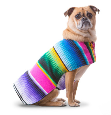 mexican dog clothes