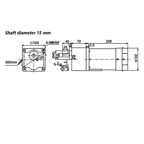 AC Motor Adapter Electric 300W Motor Gear Box Variable Speed Controller 220V110V - Picture 2 of 11