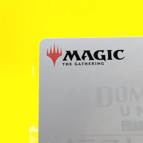 Dominaria United Art MTG Art Card Illustration Collection Japanese Rare 42/81 - Picture 7 of 10