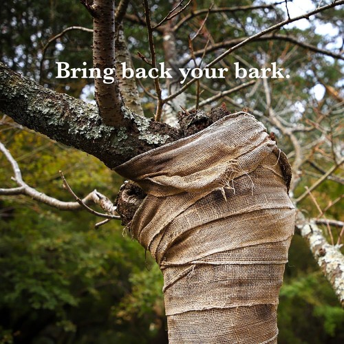 Biodegradable 40"x150’ Jute Burlap Roll - Ideal for Trees, Weeding, and Crafts - Picture 8 of 9