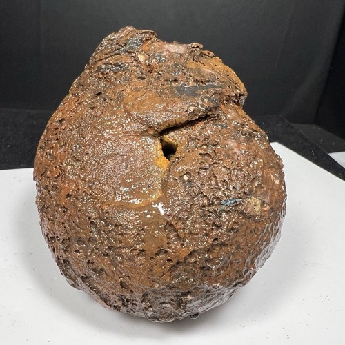 470Gr RAW LONG MOUTH AMAZING PERMIAN WHOLE BLACK VEINS AMMONITE FOSSIL MOLLUSCA - Picture 15 of 24
