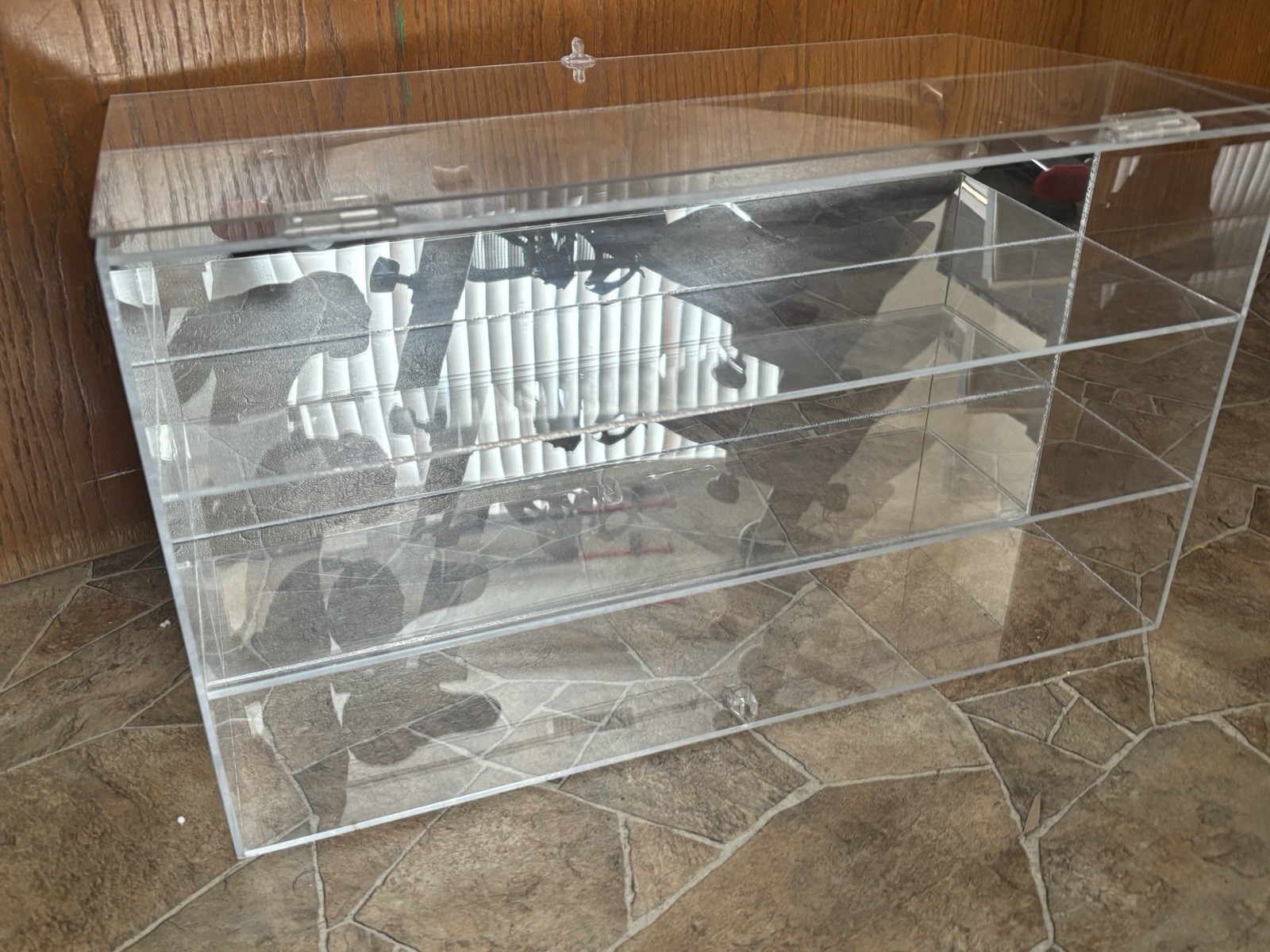 Picture 5 of 5