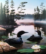 Boundary Waters By Leo Stans  Loon Print Image 18" x 21"