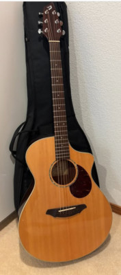 Breedlove Passport C250/CMe Acoustic-Electric Guitar - 2013