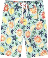 Kanu Surf Boys' Reflection Quick Dry UPF 50 Beach Swim Trunk Size 2T