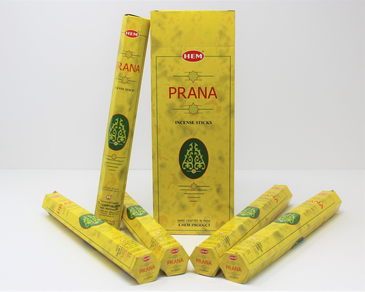 HEM SANDALWOOD INCENSE STICK 6 PACKS OF 20 STICKS = 120 STICKS - 6231
