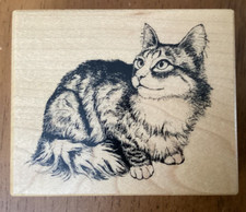 PSX Realistic Cat Lisa Long Haired kitten feline Looking Off Rubber Stamp F2061