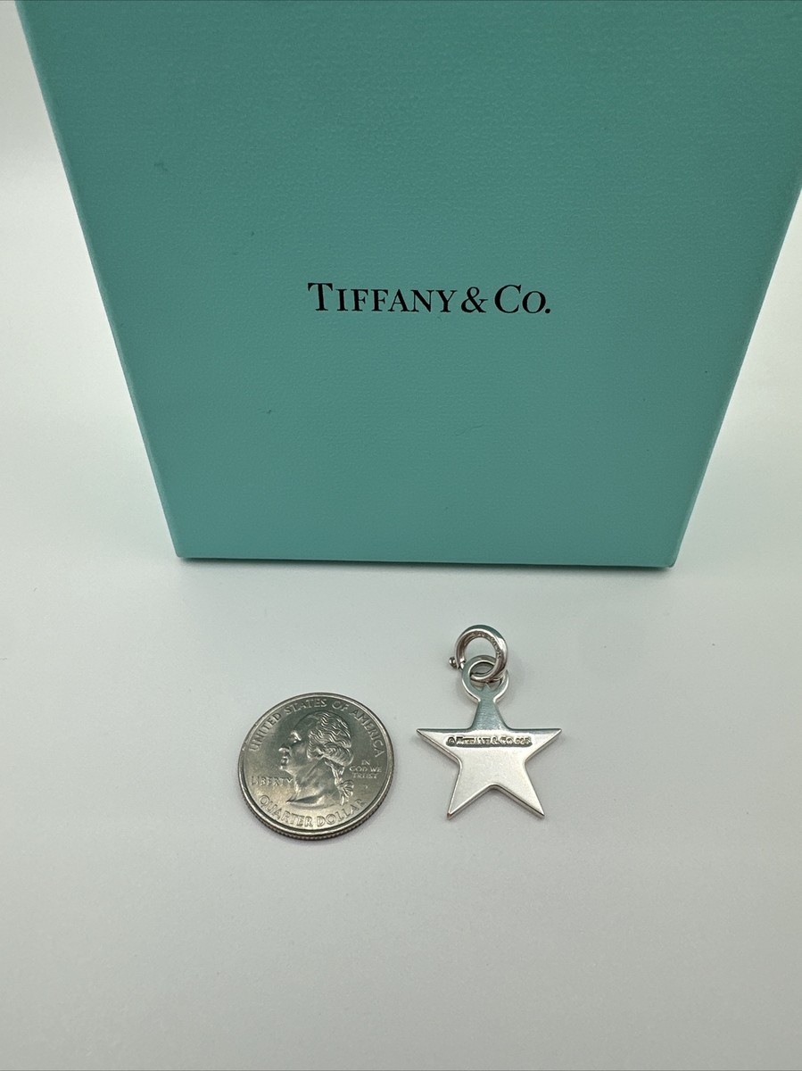 美品 CAMERON & CO Tiffany Starling Silver s-l1200.jpg