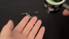 Video 1 von 1