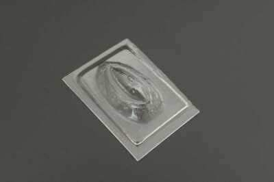 Brengun Models 1/144 MIKOYAN MiG-17PF CANOPY Vacuform Set