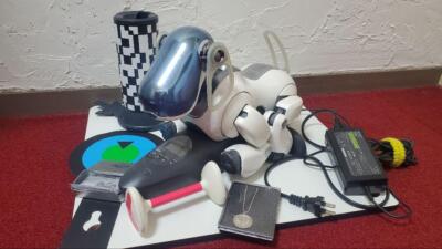 SONY Aibo ERS-7 Pearl White USED Rare Dog-Shaped Virtual Pet SONY Aibo ERS-7 Pearl White USED Rare Dog-Shaped Virtual Pet
