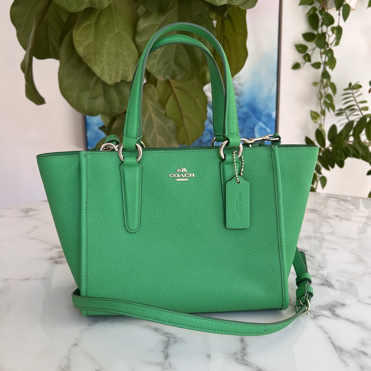 Coach mini shop carryall