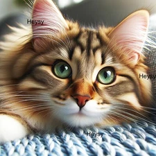 Digital Image Picture Photo Wallpaper Wall Art Room Art AI Art Sample Product