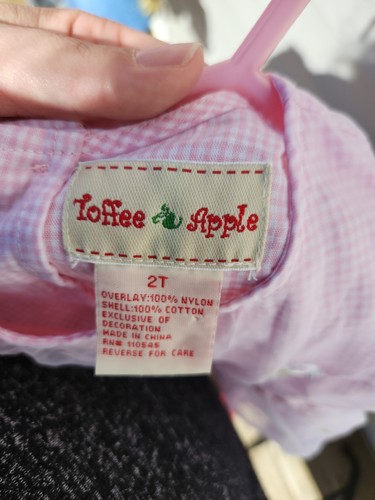 Toffee Apple Toddler Girls Dress Pink Embroidered Floral Overlay Size 2T Easter - Picture 3 of 3