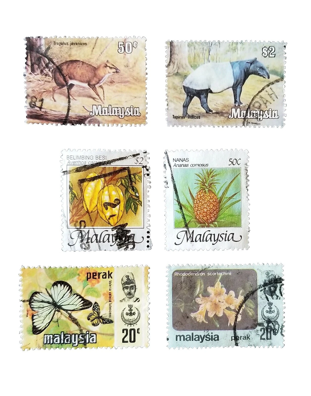 Plants Used Malaysian Stamps (1963-Now)