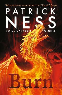 Burn: A highly original, page-turning YA fantasy featuring prejudice, revenge a - Image 4