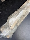 Foto 5 di 6