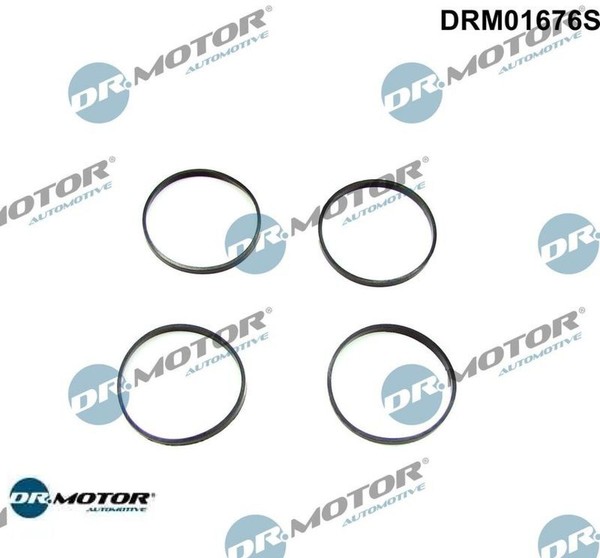 Dr.Motor Automotive DRM01676S Dichtungssatz FüR AnsaugkrüMmer FüR BMW-image