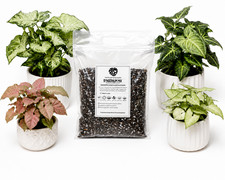 Syngonium 20L Bioactive Soil Mix Premium Aroid Potting Mix Fast Draining Indoor
