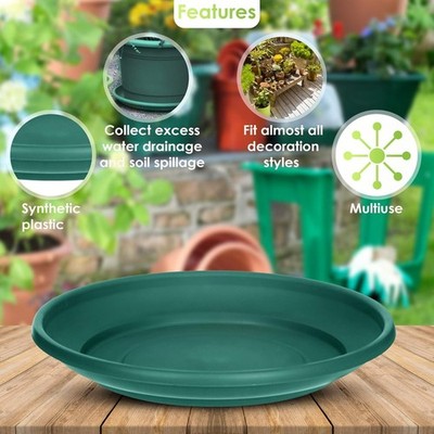 succulent plants for terrariums Succulent Terrarium DIY Kit – Full Moon Glass Terrarium Large Planter main image 0