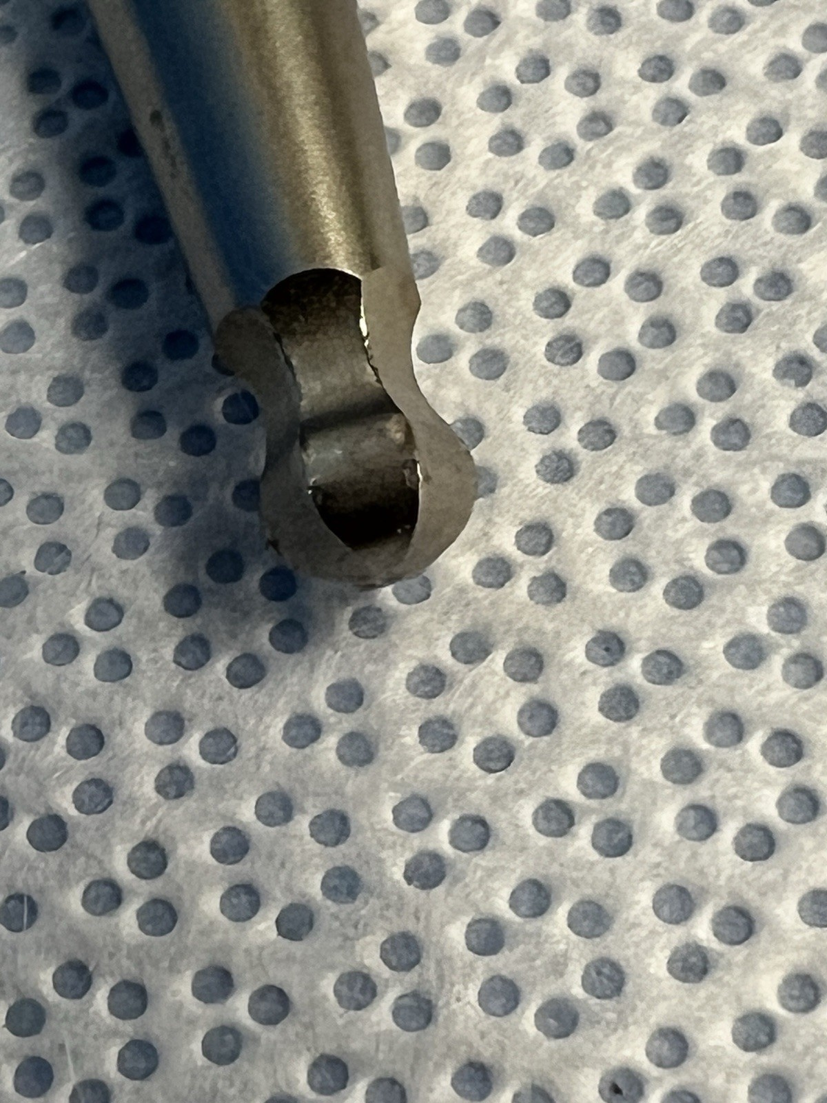 Picture 4 of 4