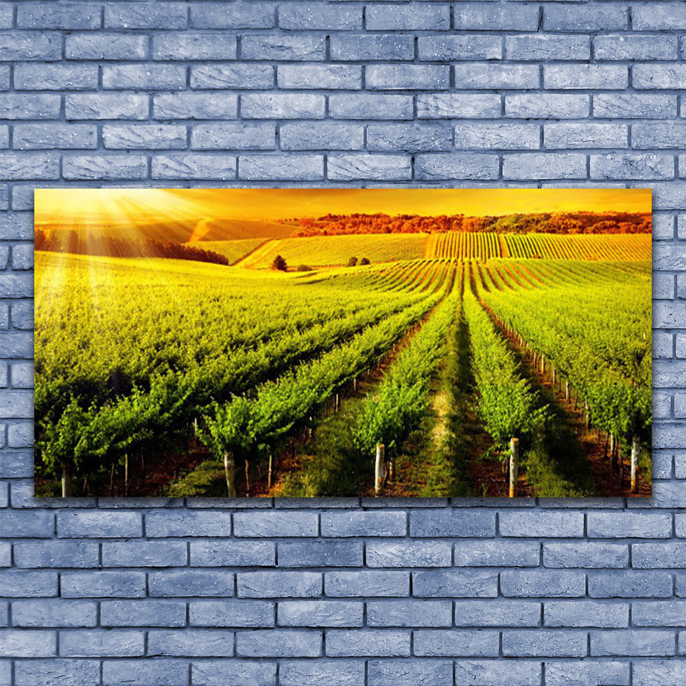 Image sur verre Nature Champ 140x70 cm pour salon lumineux et apaisant
