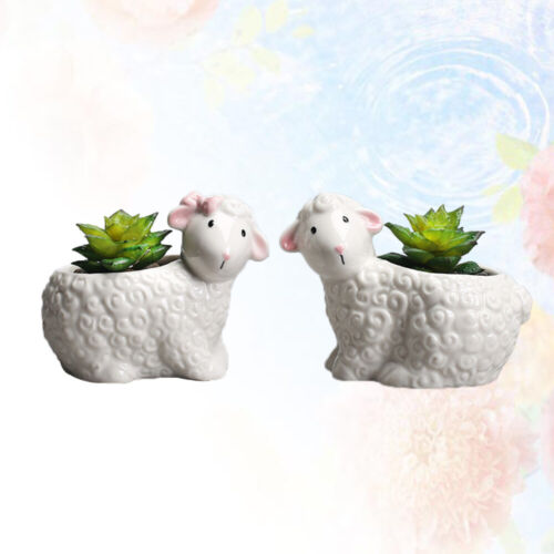 2 Schafe Lamm Sukkulenten Pflanzer Keramik Tier Pflanze Pot Bonsai Garten - Bild 1 von 9