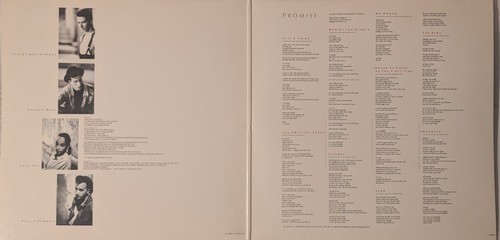 Vintage Sade "Promise" Vinyl Album (1985) - Picture 3 of 5