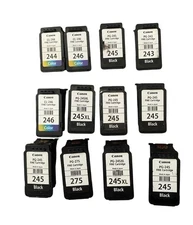 Canon 12 Canon Ink Cartridges empty