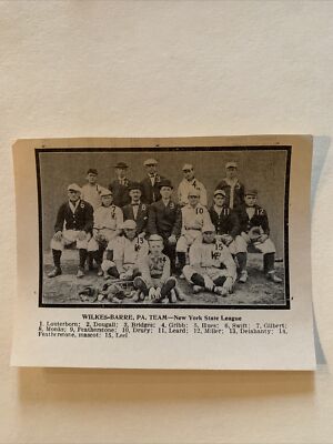 Wilkes Barre Barons Pennsylvania Bill Lauterborn 1908 Baseball Team Picture