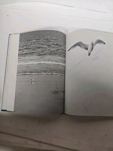 Jonathan Livingston Seagull 1st Edition 1970 Richard Bach Early Printing + DJ - Bild 10 von 12